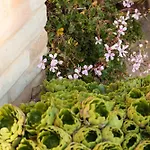 Casolare Della Quiete Villa