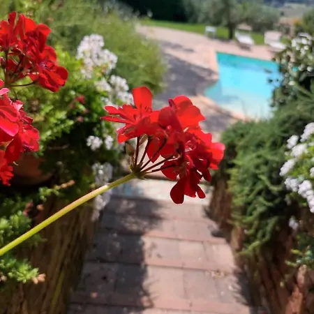 Villa Casolare Della Quiete