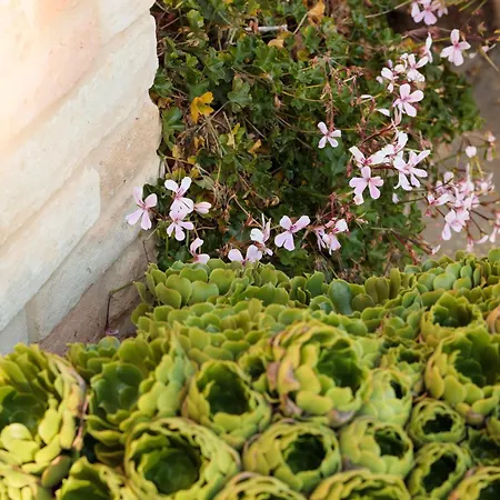 Casolare Della Quiete Villa