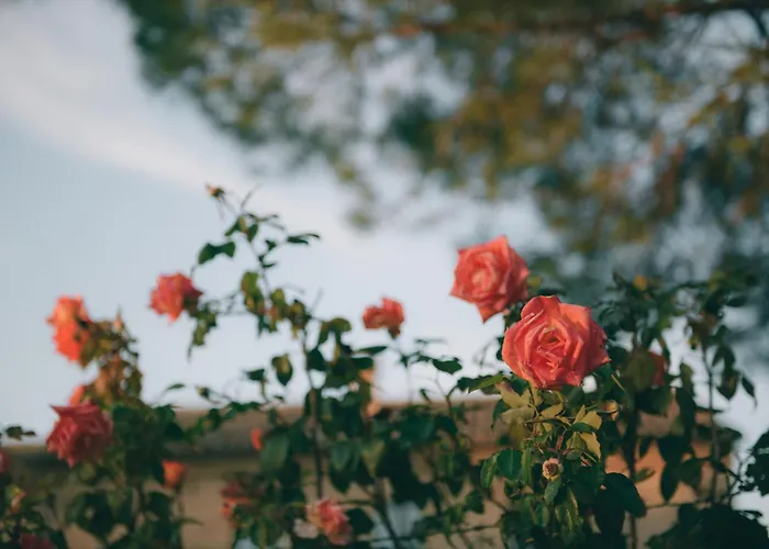 Casolare Della Quiete